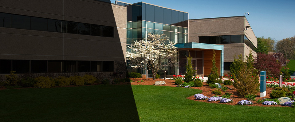 Chevy Chase Landscapers