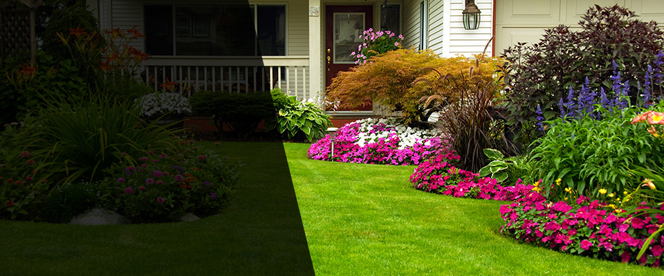 Chevy Chase Landscapers