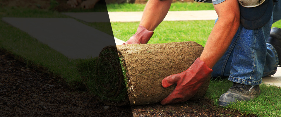 Chevy Chase Landscapers